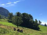 Read more: Hiking to the Birthplace of Switzerland: July 30th